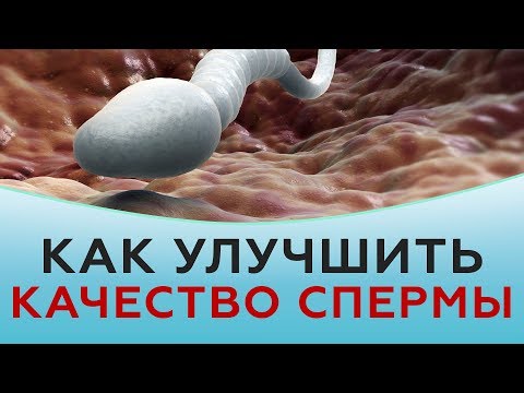 Вопрос: Как повысить фертильность?