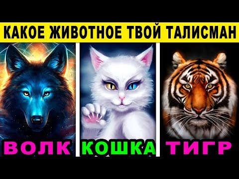 Вопрос: Кто вам больше по душе кошки или собаки?