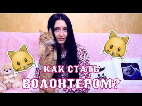 Вопрос: Как стать волонтером?