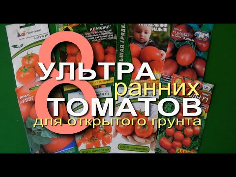 Вопрос: Какие скороспелые сорта томатов для открытого грунта (созрев. 95 дн)?