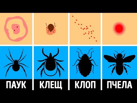 Вопрос: Как повеселиться на вечеринке, где все пьют?