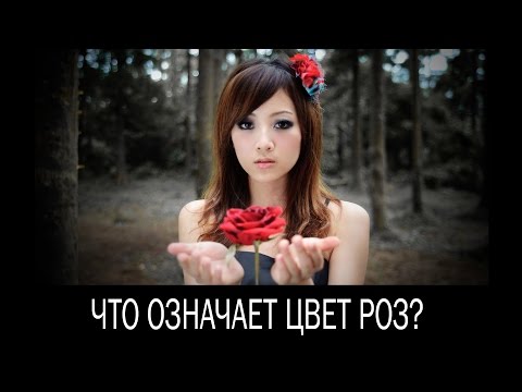 Вопрос: Жёлтые розы знак чего?