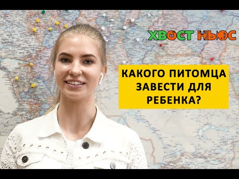 Вопрос: Какого пушного зверька лучше всего дрессировать, что известно?