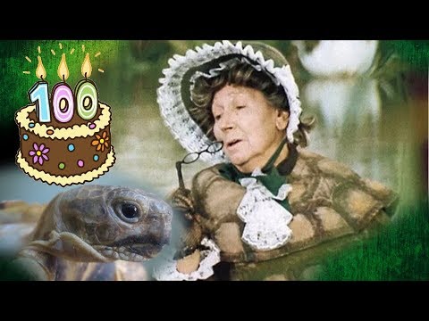 Вопрос: Сколько лет может жить черепаха?