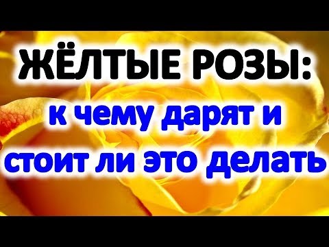 Вопрос: Жёлтые розы знак чего?