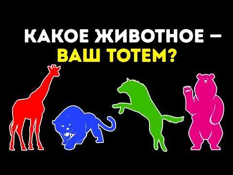 Вопрос: У Вас было ощущение, что вы начинаете понимать Ваше домашнее животное?