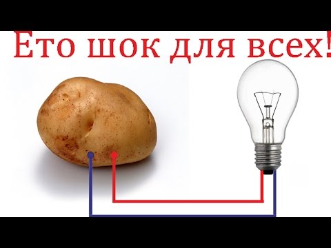 Вопрос: Как сделать картофельную батарею для часов?