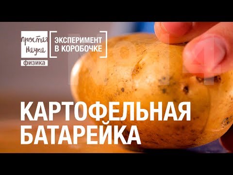 Вопрос: Как сделать картофельную батарею для часов?